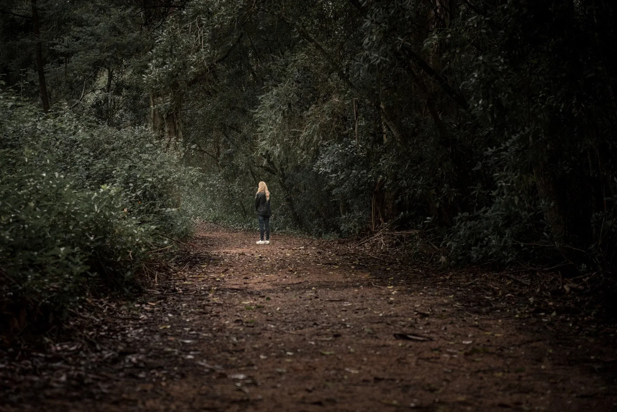 Forest bathing, Lussich Arboretum, Maldonado, Uruguay