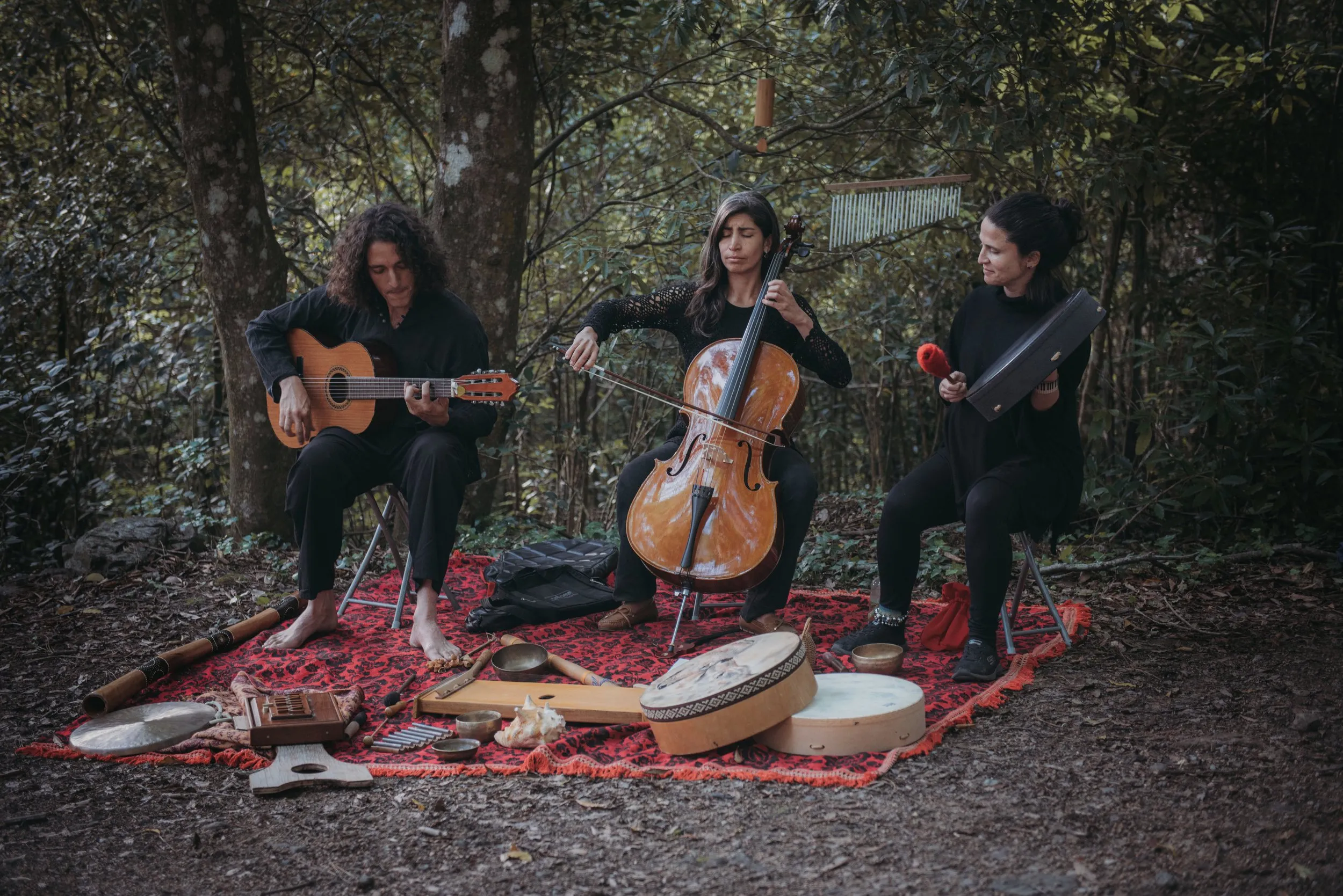 Forest bathing, Lussich Arboretum, Maldonado, Uruguay