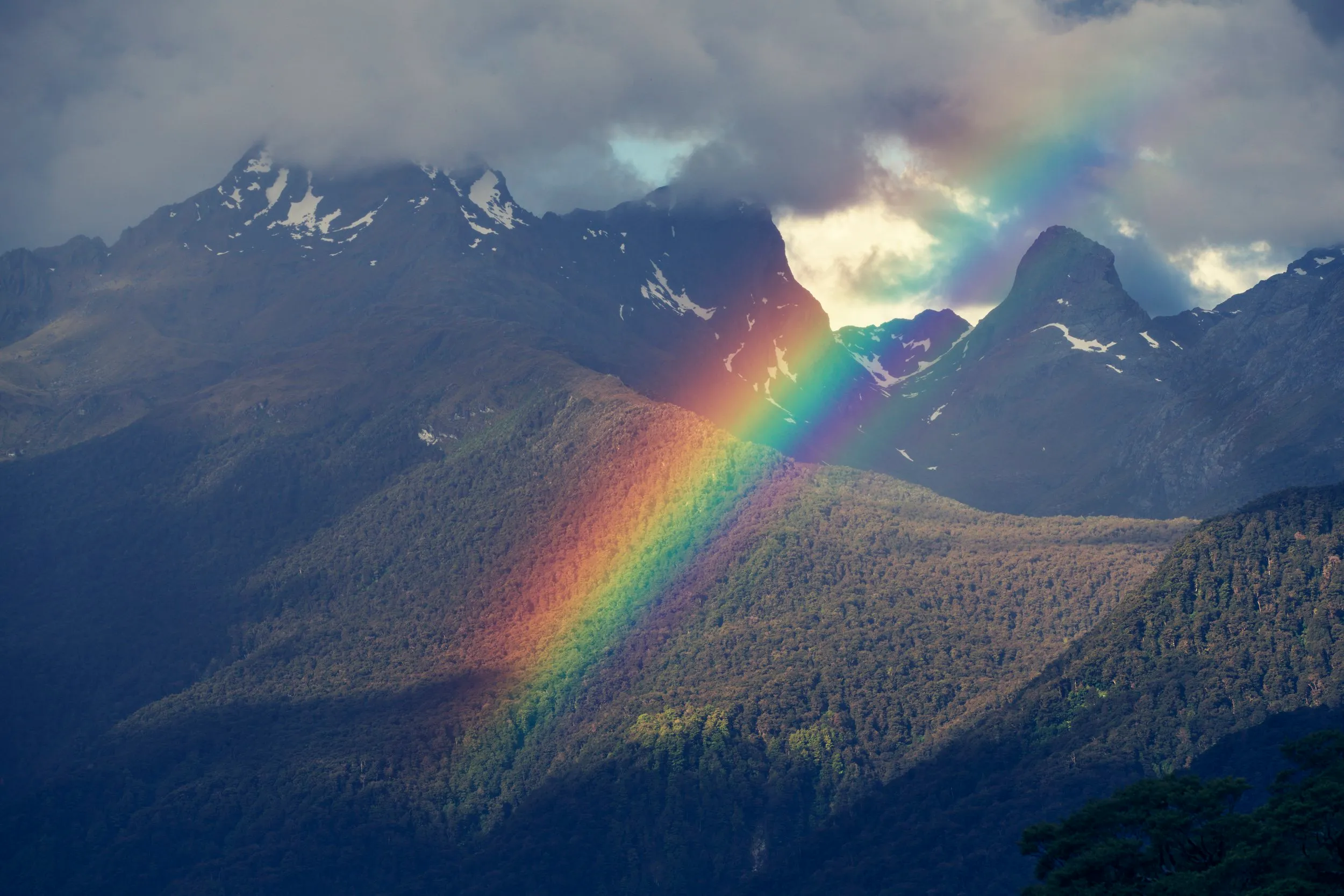 New Zealand