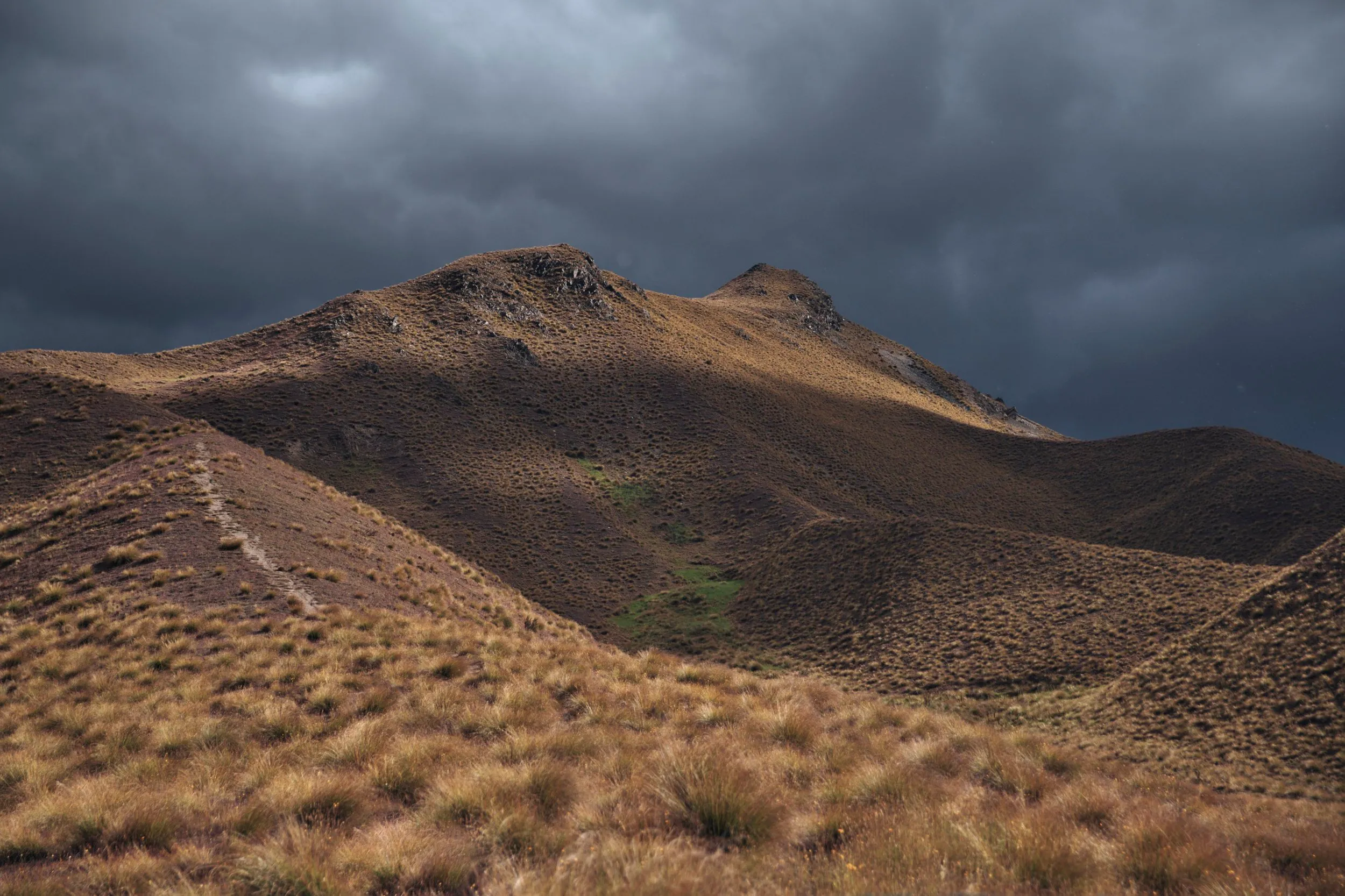New Zealand