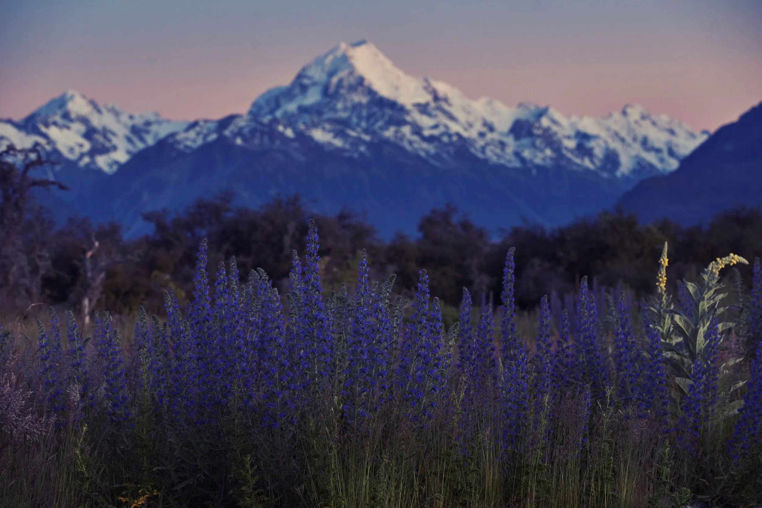 New Zealand