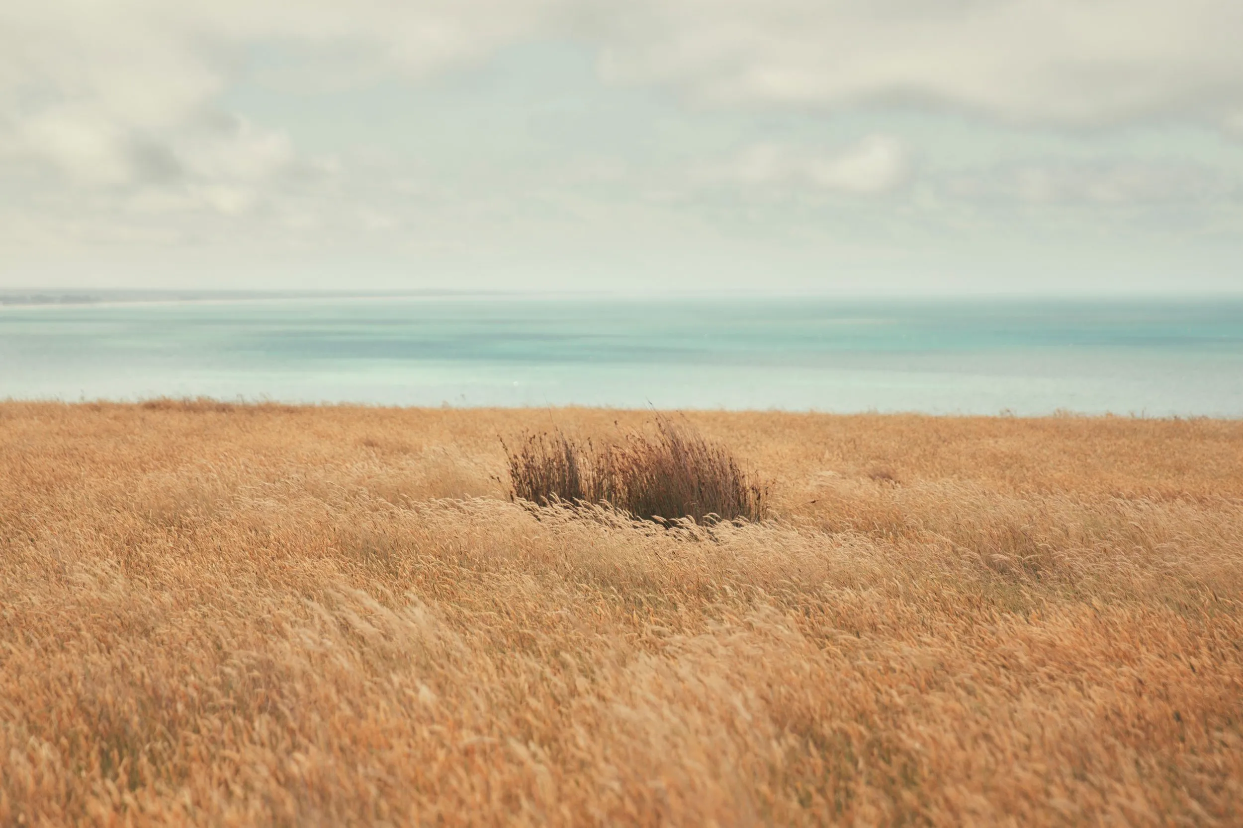 New Zealand