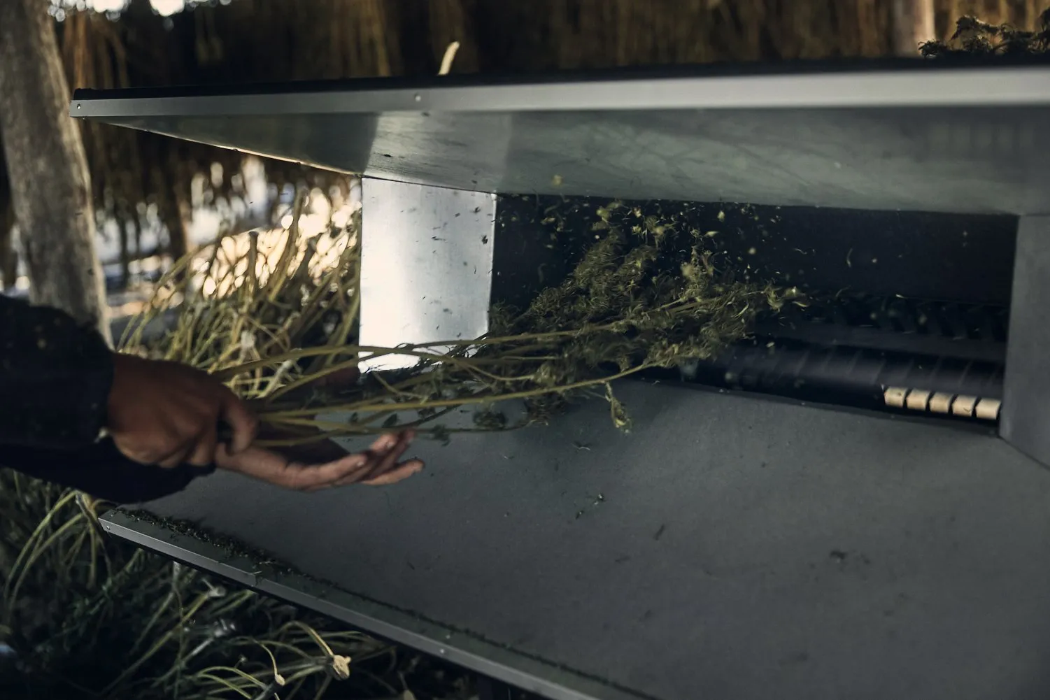 A project for Auxly at their cannabis processing plant