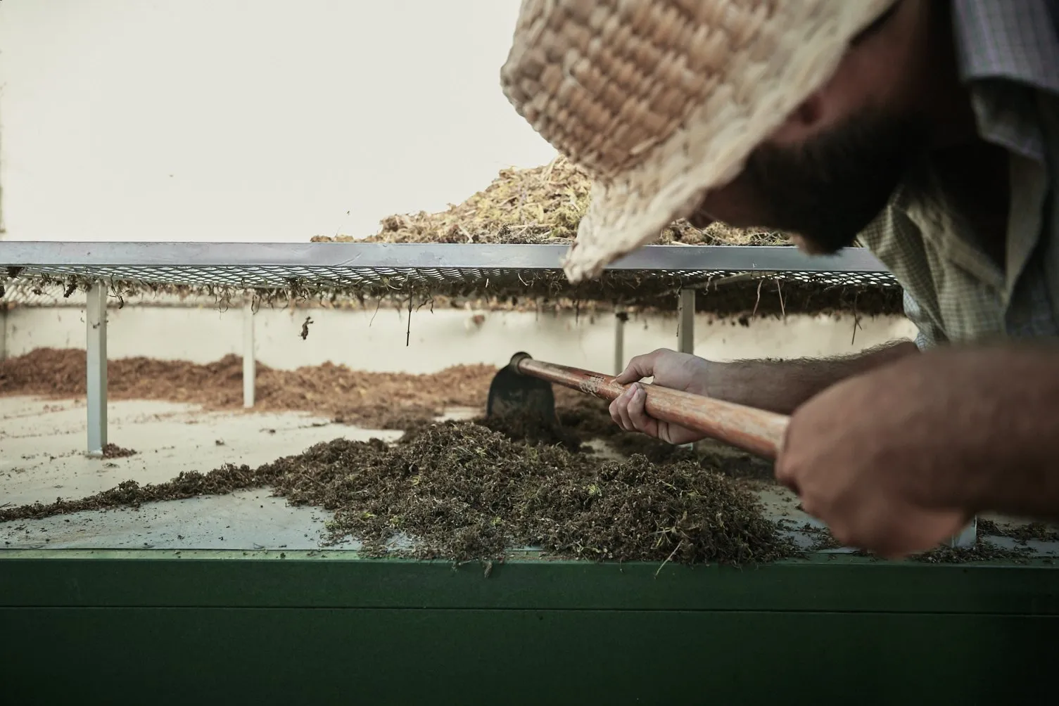 A project for Auxly at their cannabis processing plant