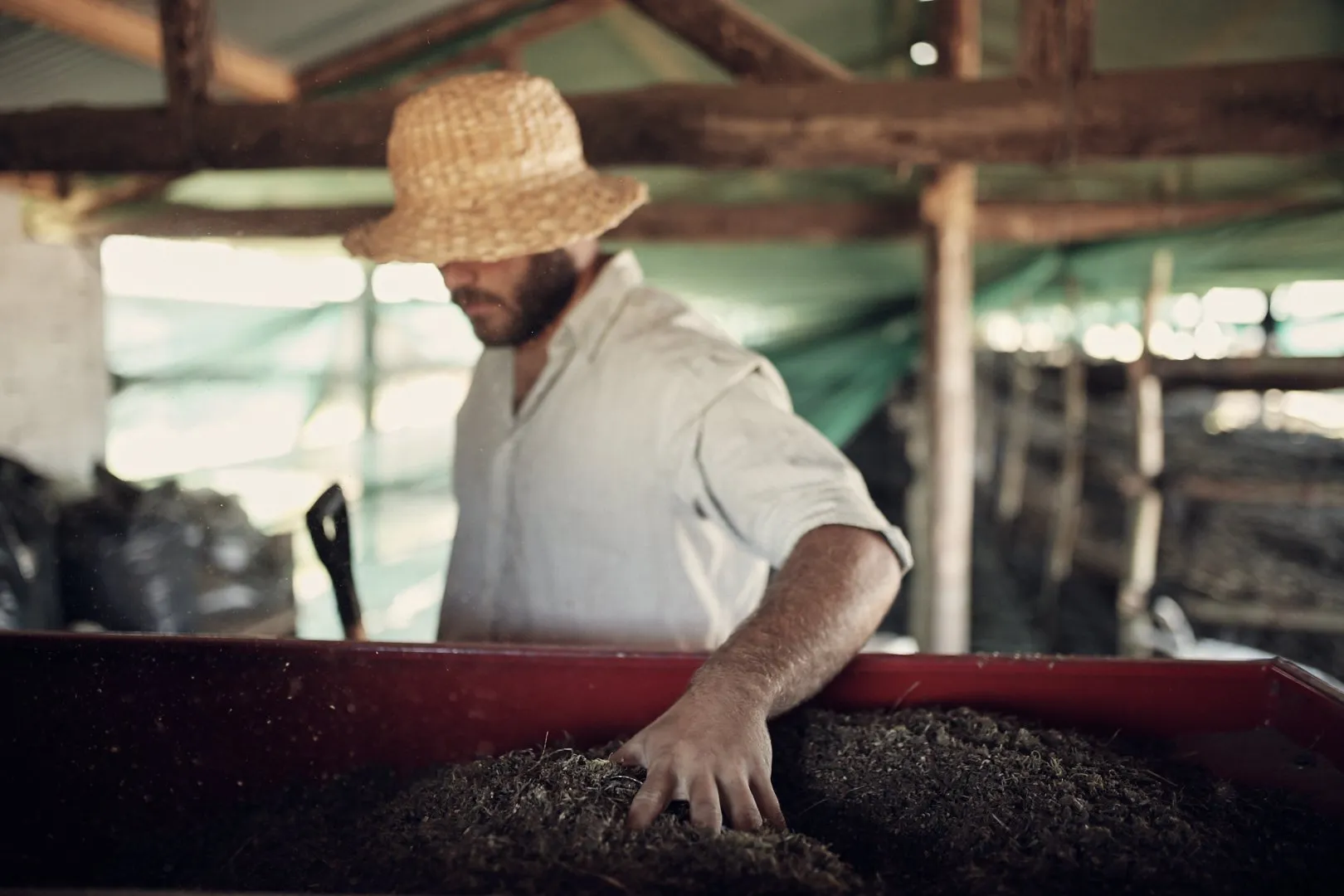 A project for Auxly at their cannabis processing plant