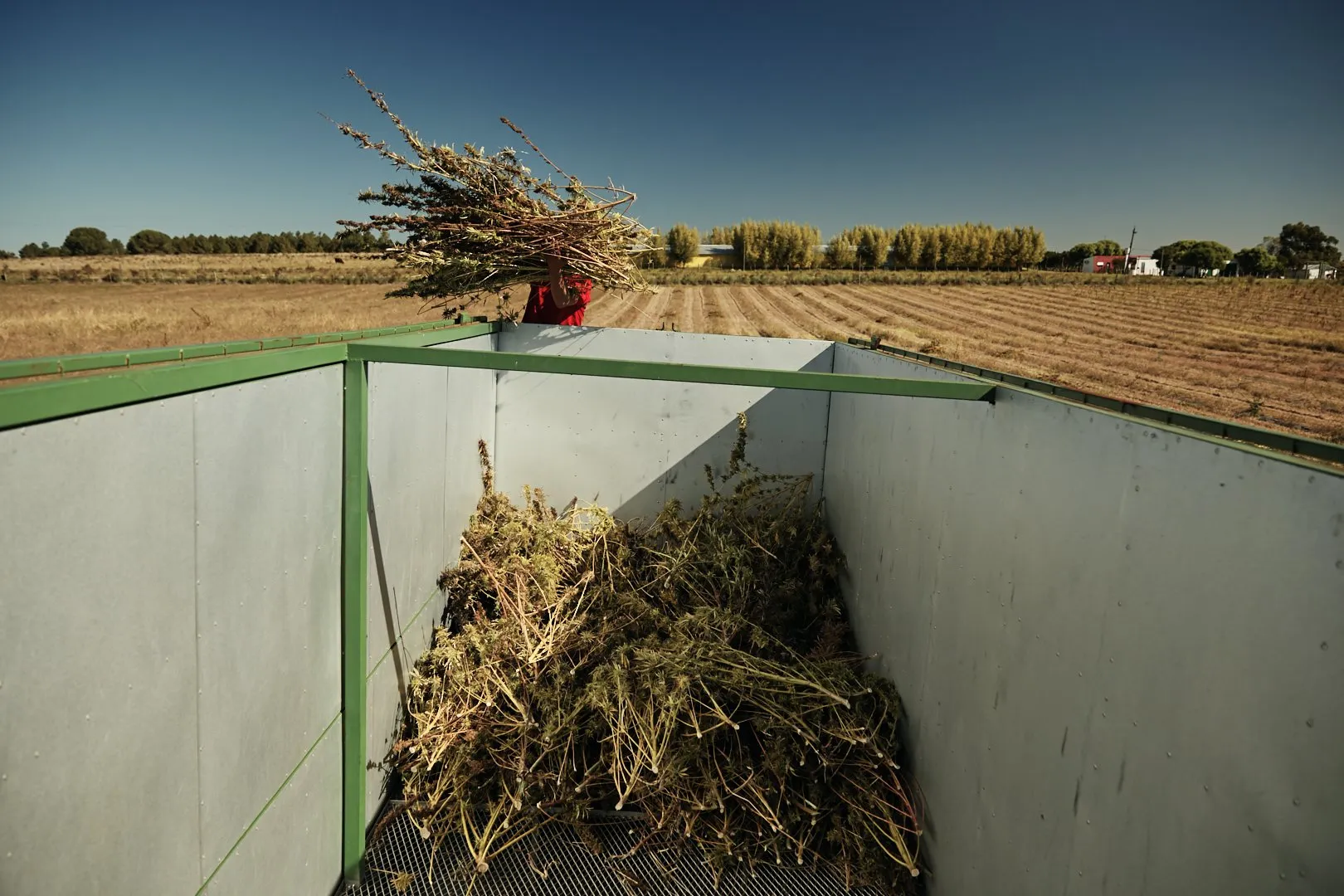 A project for Auxly at their cannabis processing plant