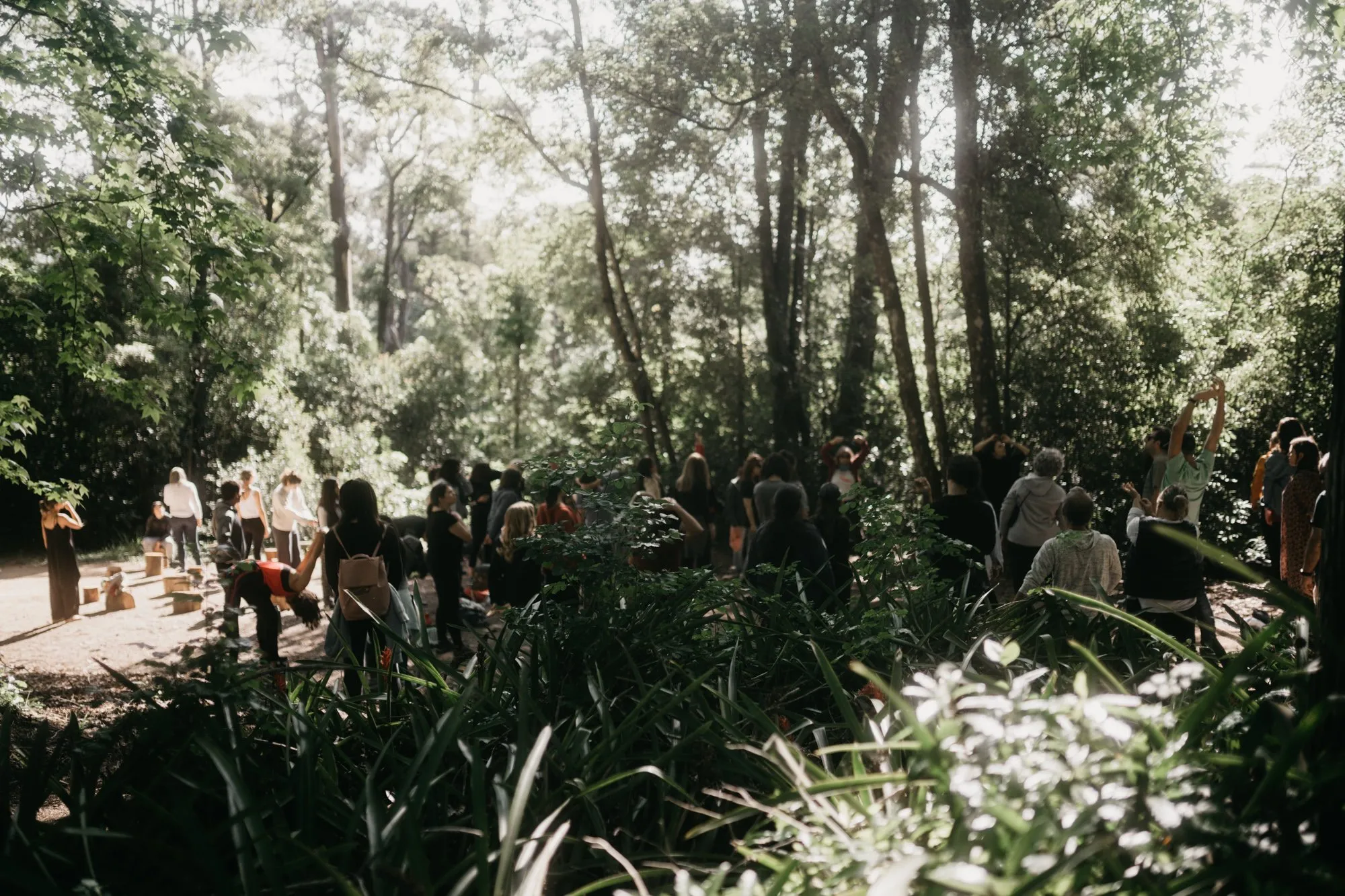 Forest bathing, Lussich Arboretum, Maldonado, Uruguay
