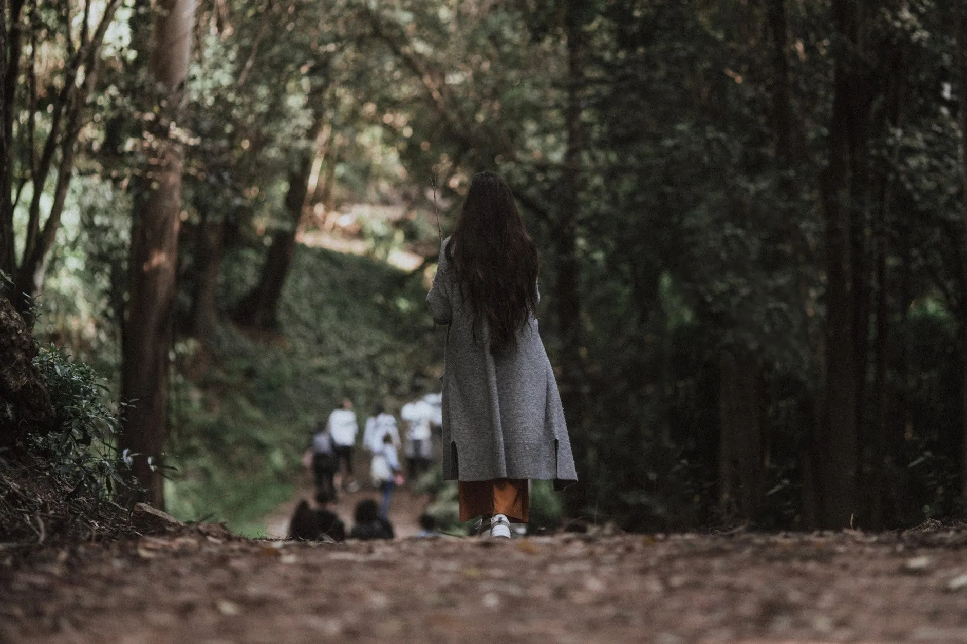 Forest bathing, Lussich Arboretum, Maldonado, Uruguay