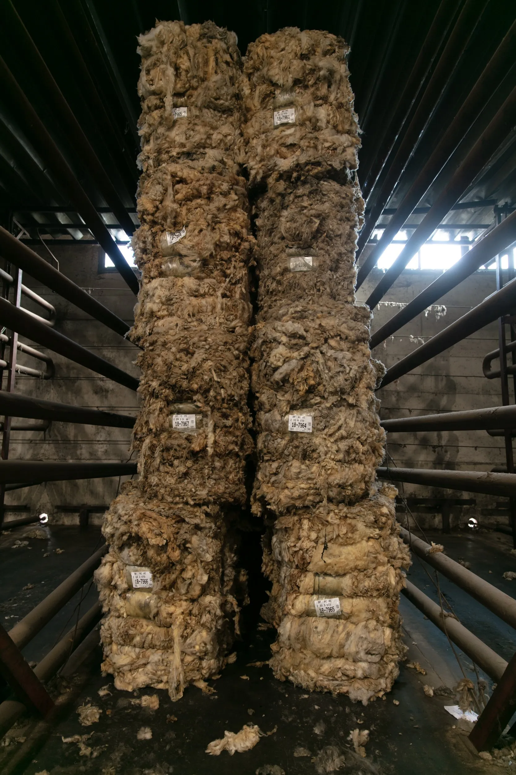 Calmo, the production process of a Uruguayan wool brand