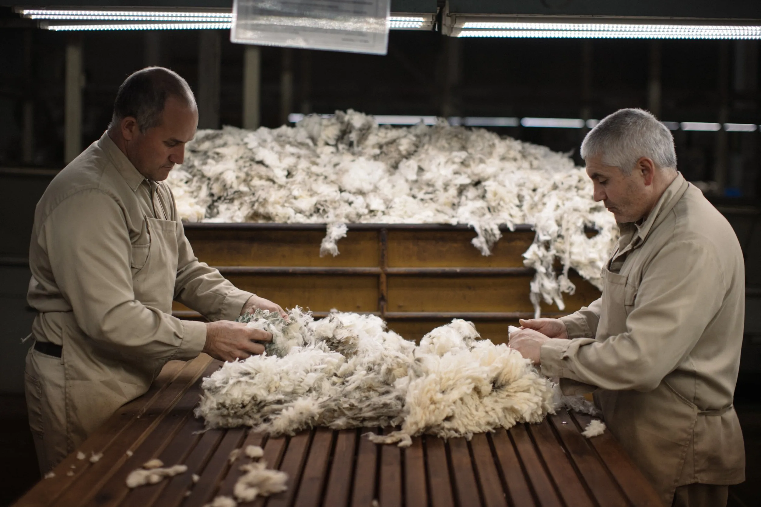 Calmo, the production process of a Uruguayan wool brand