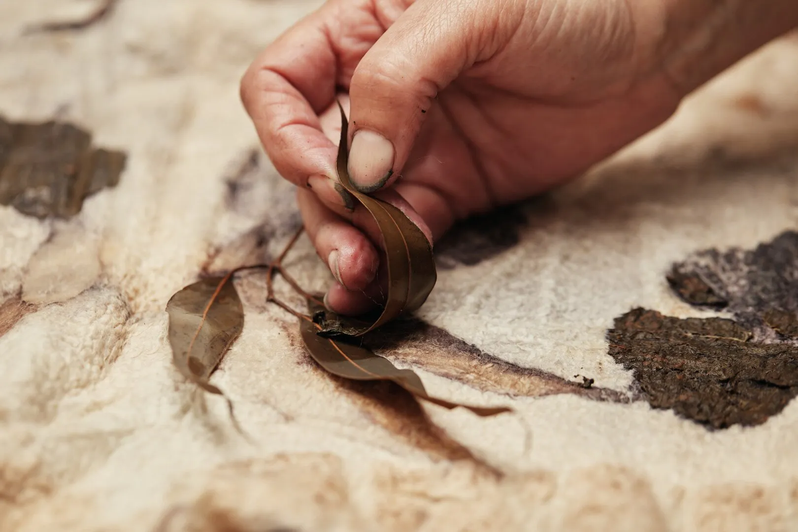 Calmo, the production process of a Uruguayan wool brand