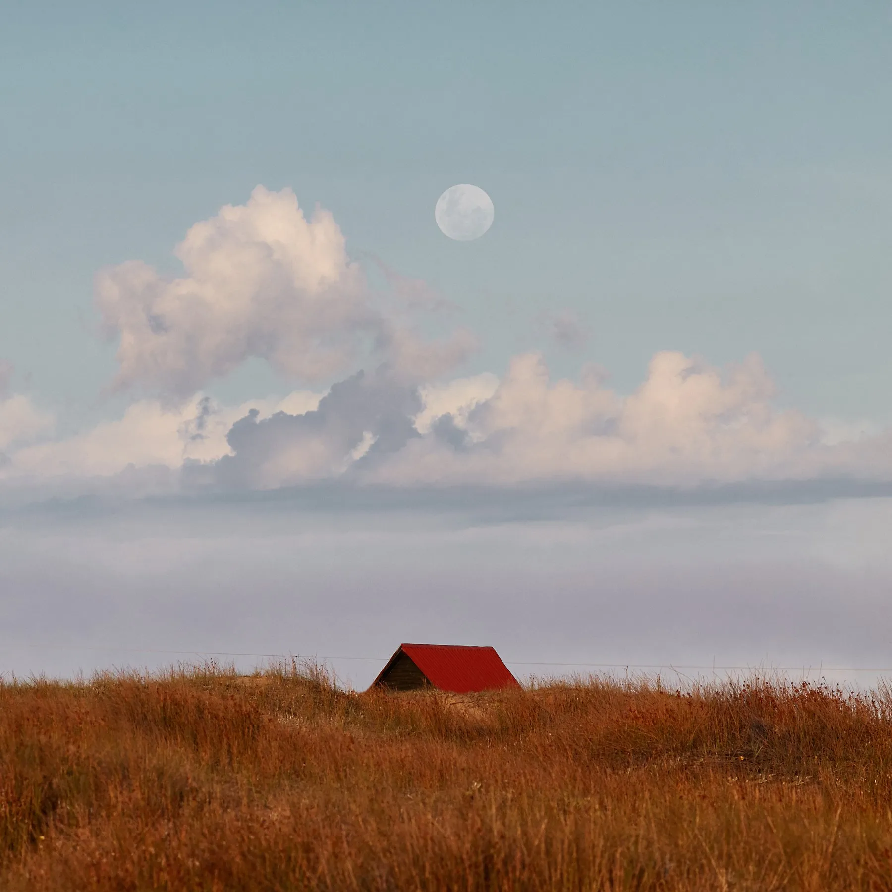 A red roof showing above the tall grass at Cabo Polonio, with a full moon overhead