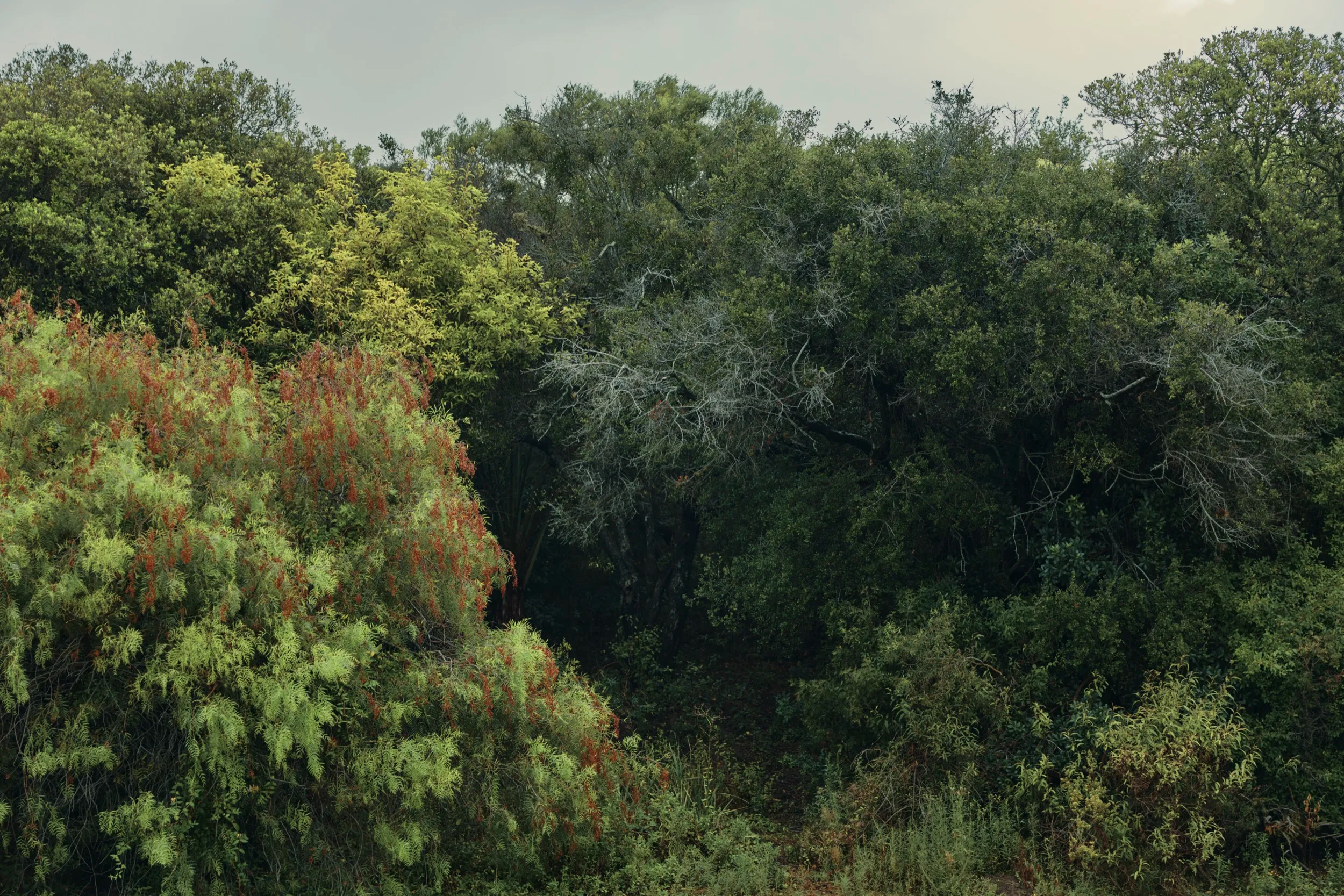 Trabajo para Cerro Áspero, cerca de Aiguá, Maldonado, Uruguay