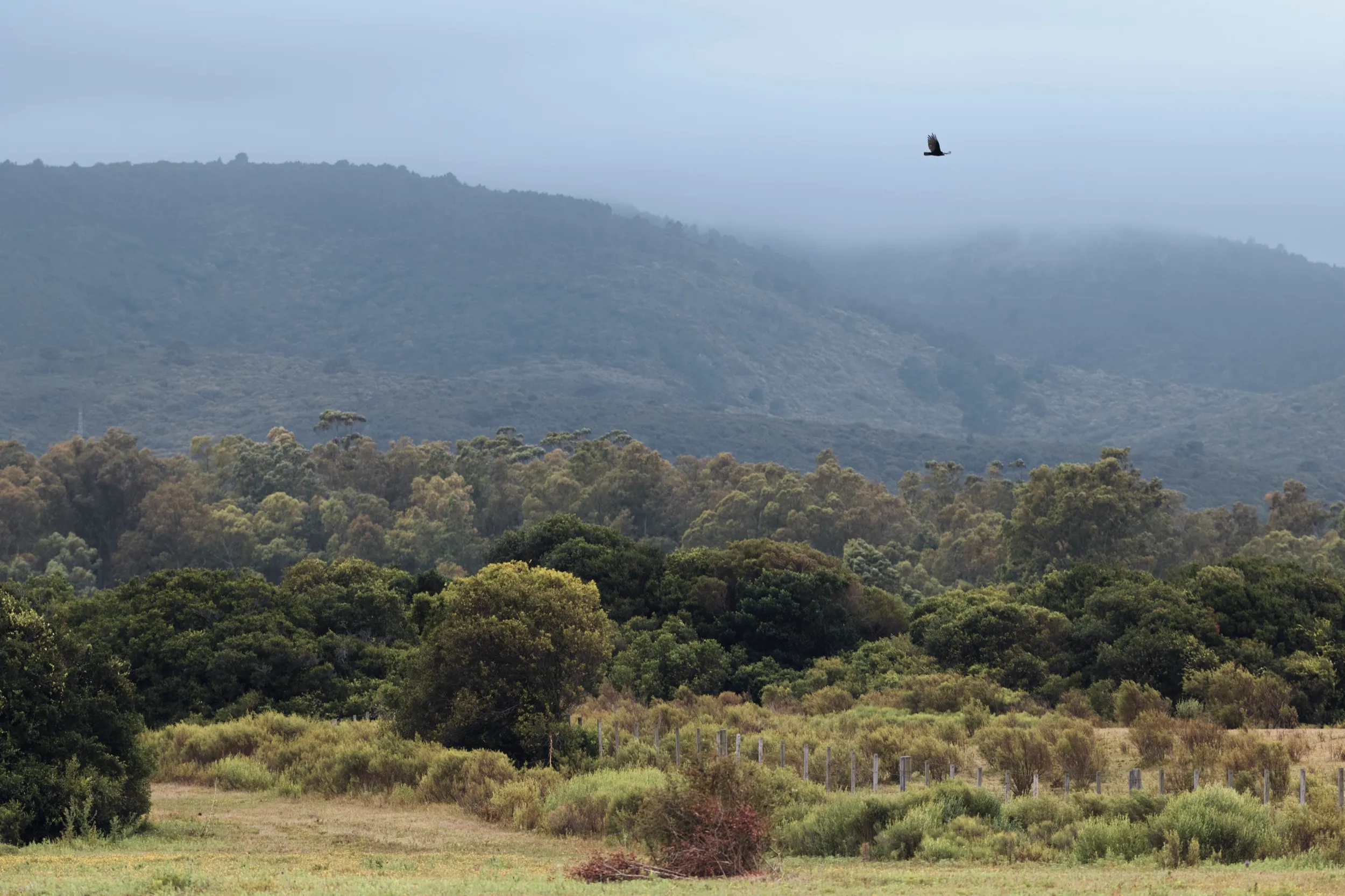 Trabajo para Cerro Áspero, cerca de Aiguá, Maldonado, Uruguay