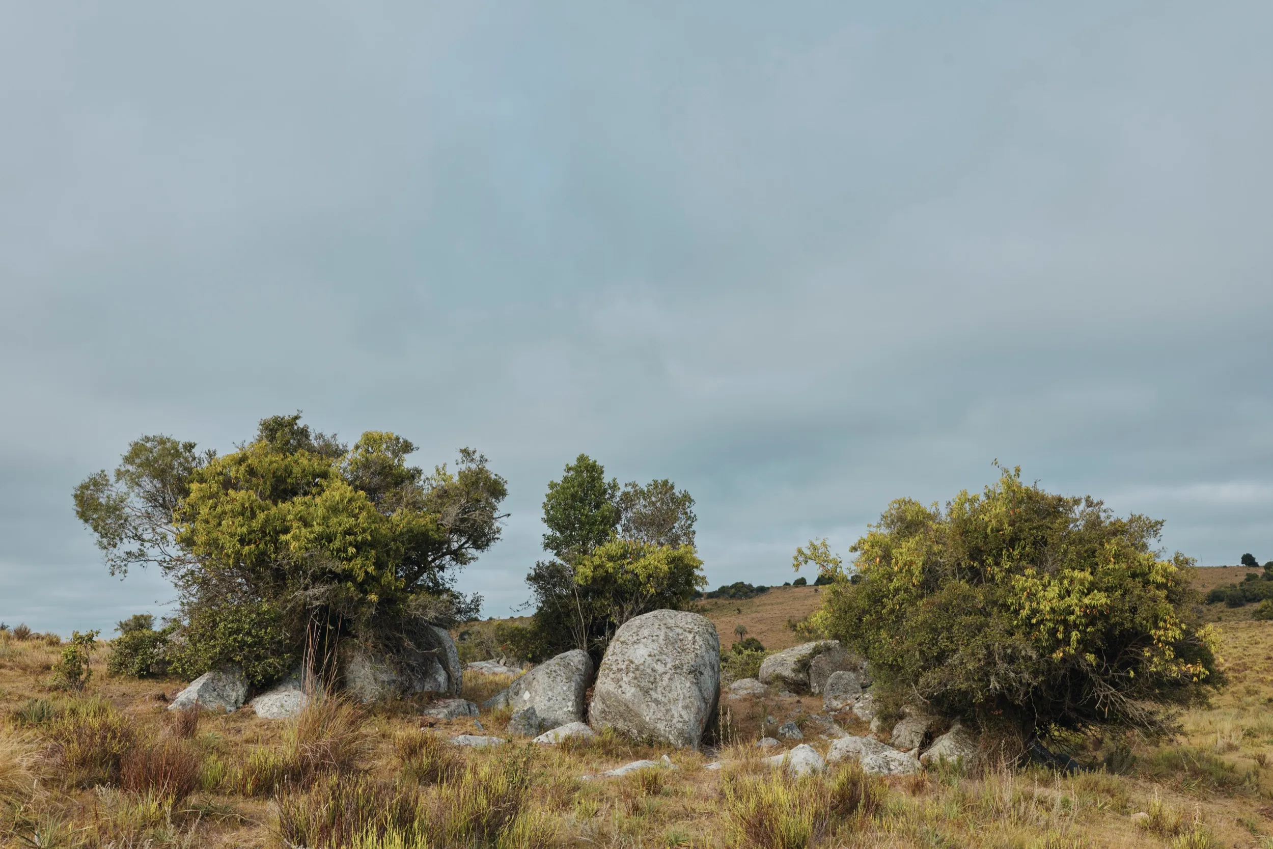 Trabajo para Cerro Áspero, cerca de Aiguá, Maldonado, Uruguay