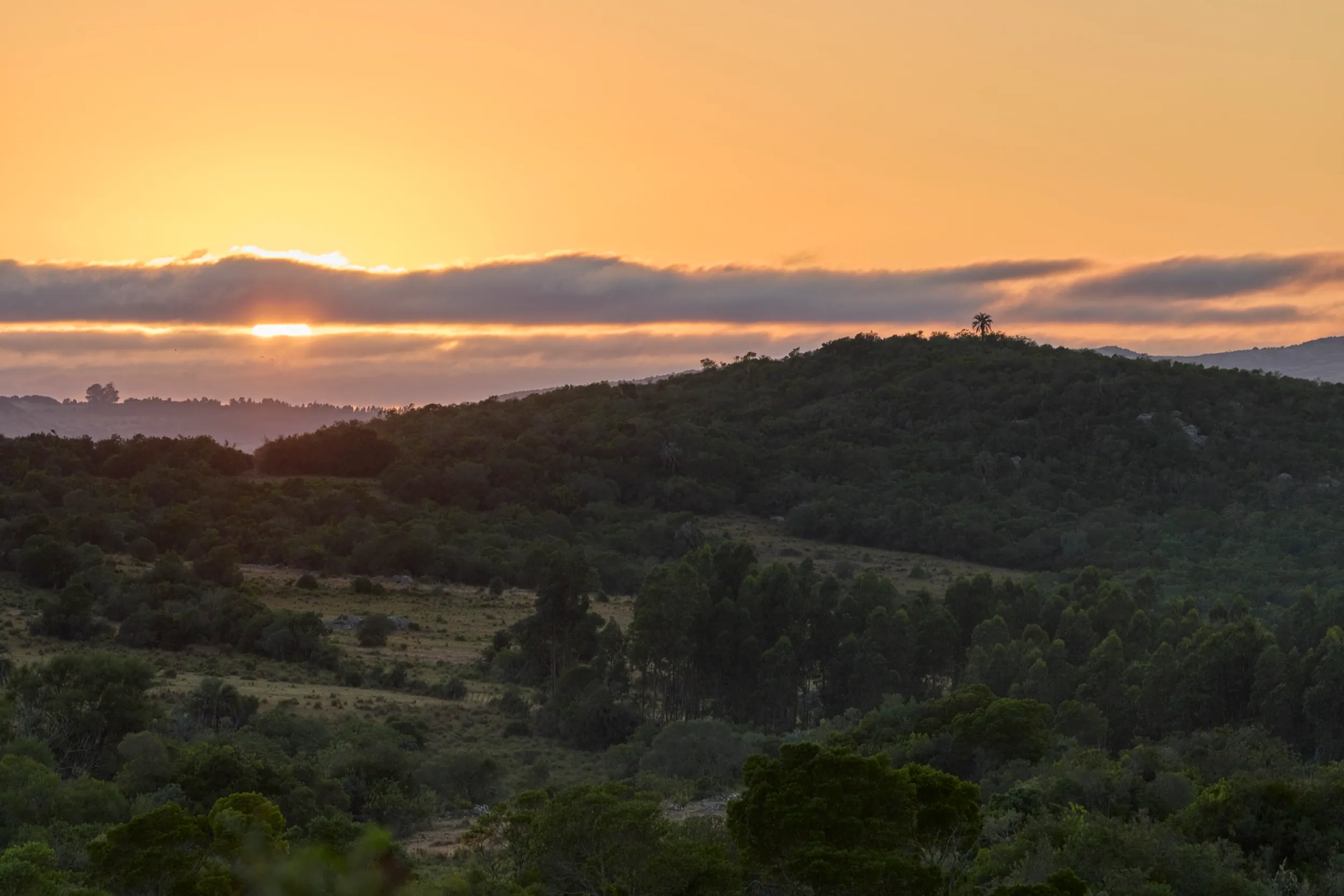 Trabajo para Cerro Áspero, cerca de Aiguá, Maldonado, Uruguay