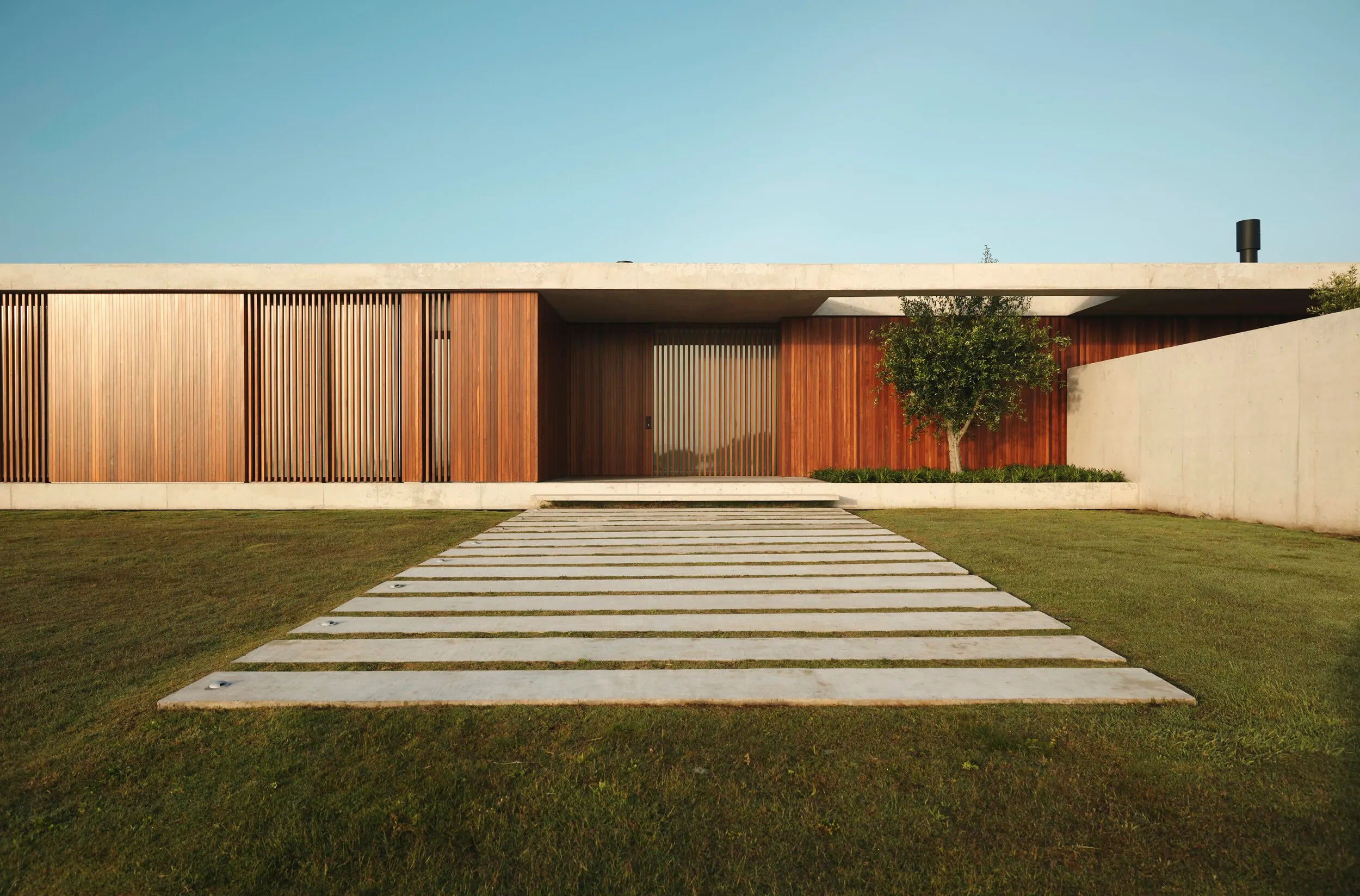 Modern house with a wooden facade and a concrete wall, a stone path across the lawn, and a tree by the entrance.