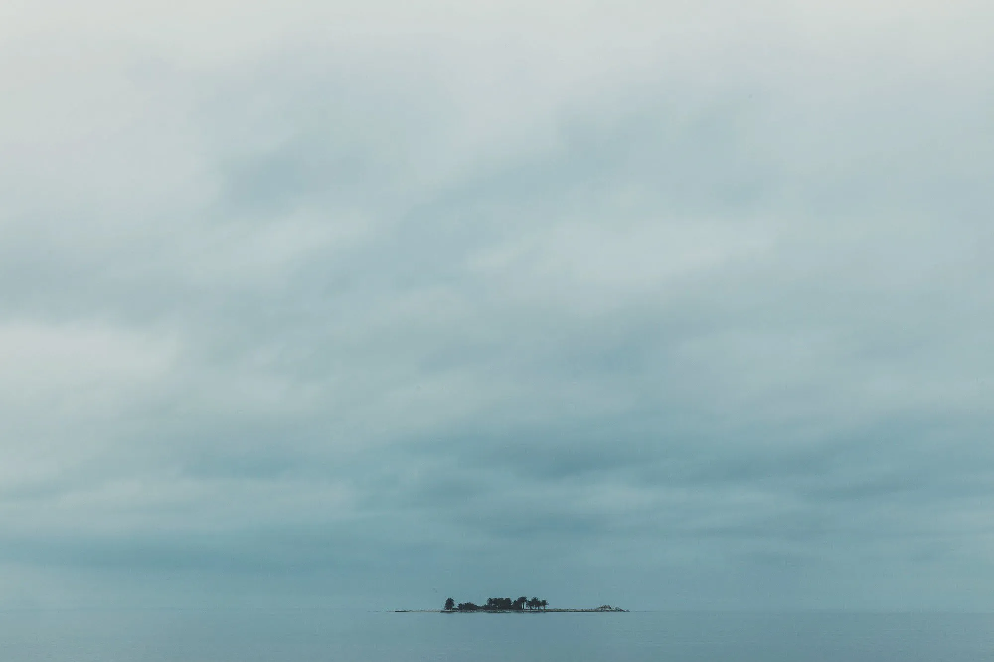 A tiny island with a few trees, alone in the sea under a gray sky
