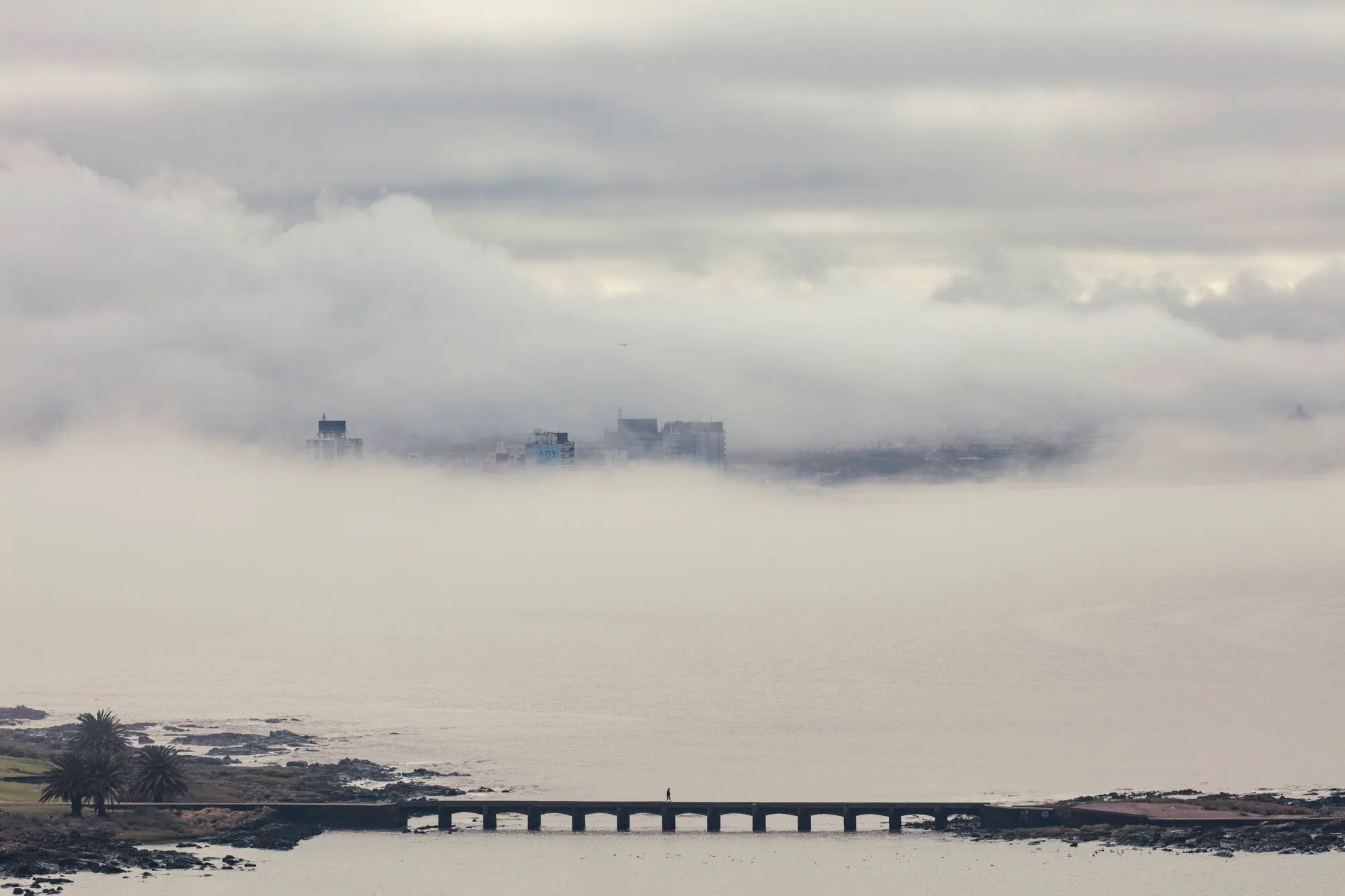 The buildings of Montevideo rising above a bank of fog, seen from the beach