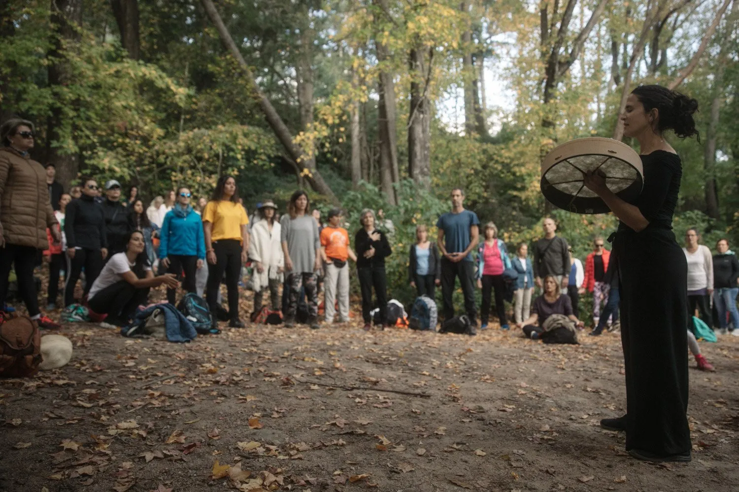 Forest bathing, Lussich Arboretum, Maldonado, Uruguay