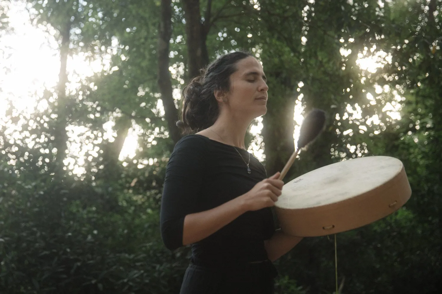Forest bathing, Lussich Arboretum, Maldonado, Uruguay