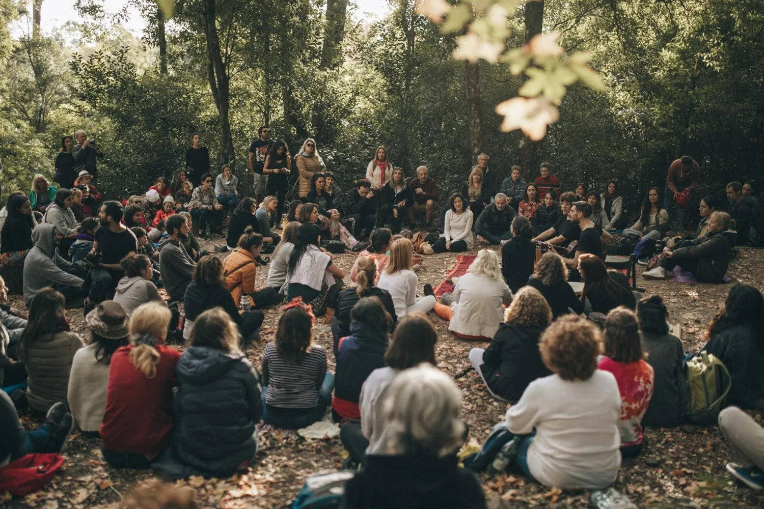 Forest bathing, Lussich Arboretum, Maldonado, Uruguay