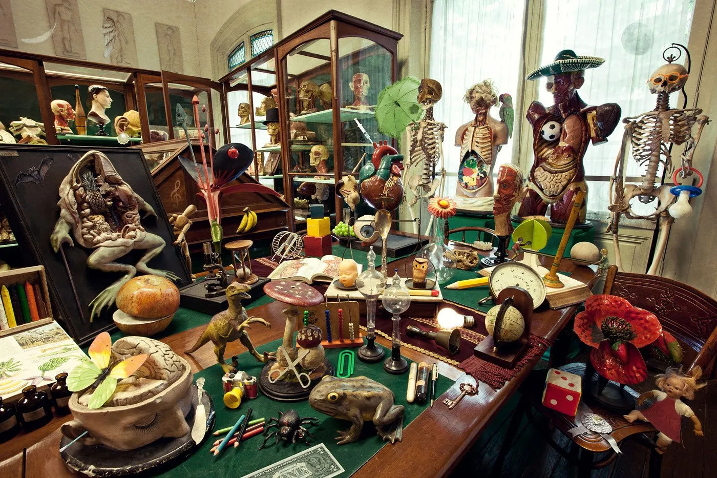 A table full of objects and figures of skeletons, animals, and scientific elements, in a museum or collection setting, with display cases and curtains in the background.
