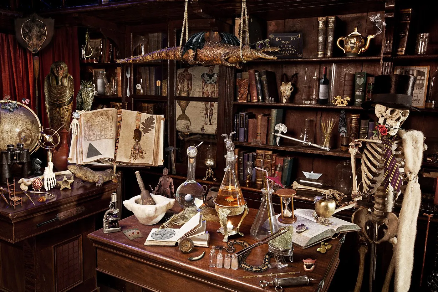 A room full of objects of science, stories, and mystery, with shelves full of books, decorative skeletons, jars of liquids, and antique and ritual objects.