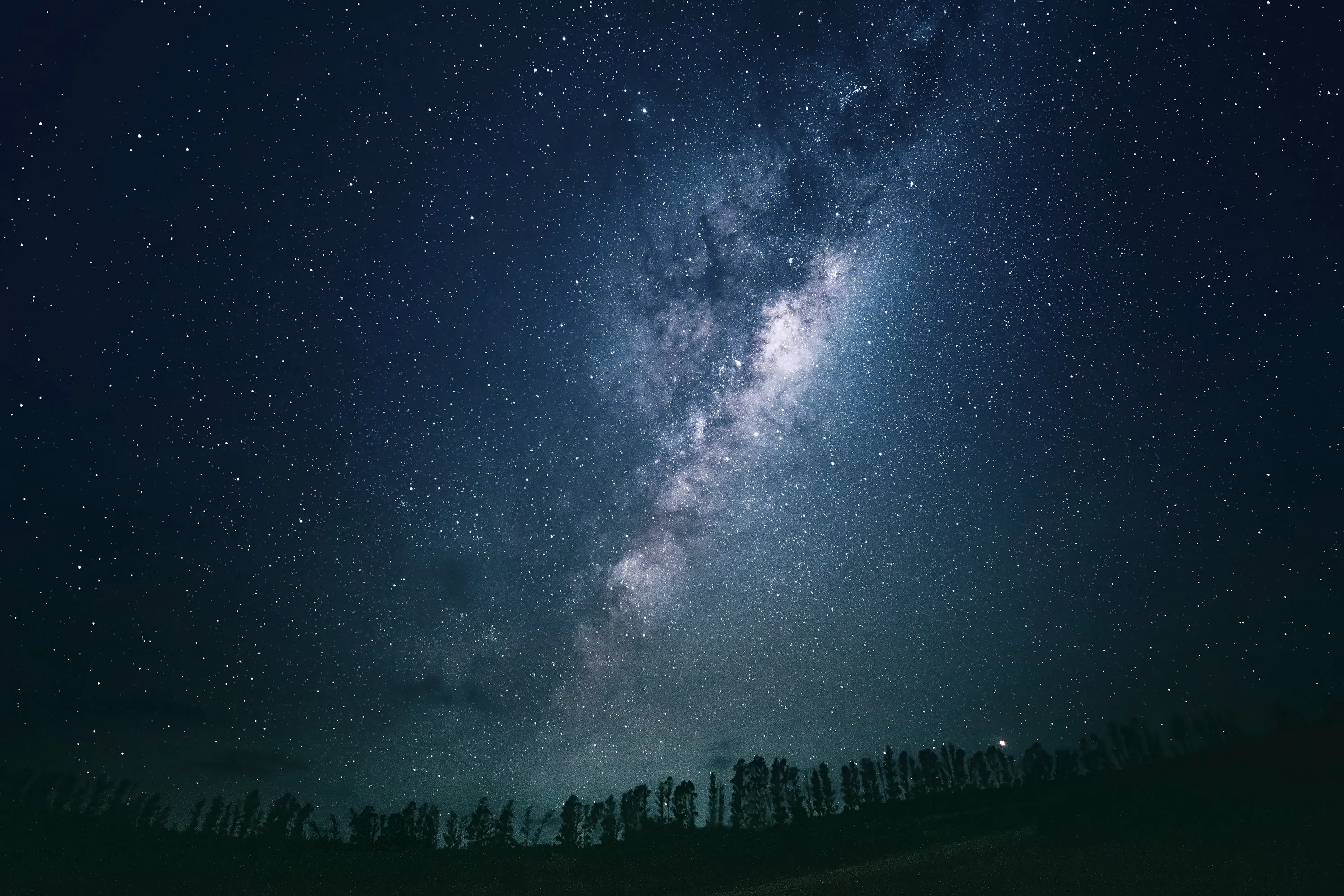 The Milky Way over a line of trees in the sky at Sacromonte